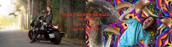 дурь Киреевск