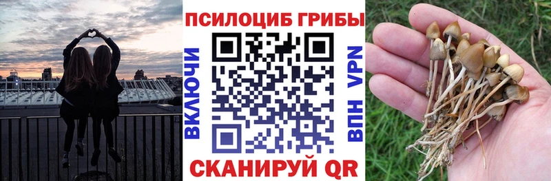 Купить закладки  Колпашево  Псилоцибиновые грибы ЛСД 