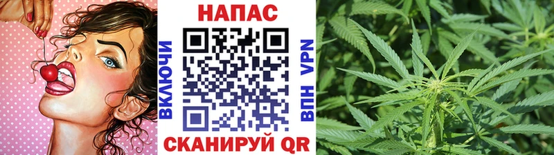 Шишки марихуана семена  Купить закладки  Колпашево 